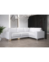 Canapé d'angle convertible en cuir ARIA II 250 x 185 cm en plusieurs couleurs
