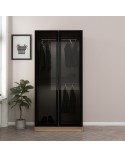 Armoire avec 2 portes verre fumé, noyer doré/noir 90 x 210 cm