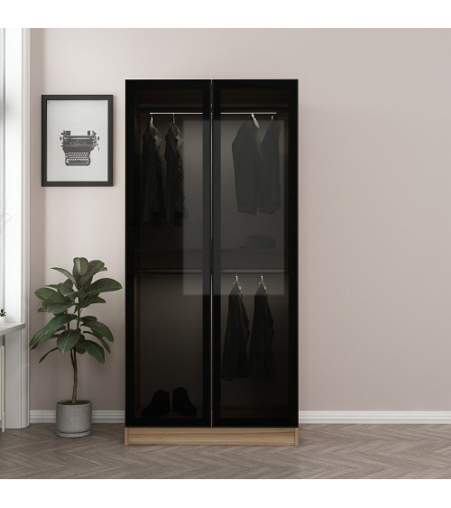 Armoire avec 2 portes verre fumé, noyer doré/noir 90 x 210 cm