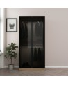 Armoire avec 2 portes verre fumé, noyer doré/noir 90 x 210 cm