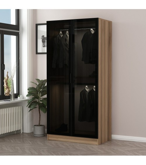 Armoire avec 2 portes verre fumé, noyer doré/noir 90 x 210 cm