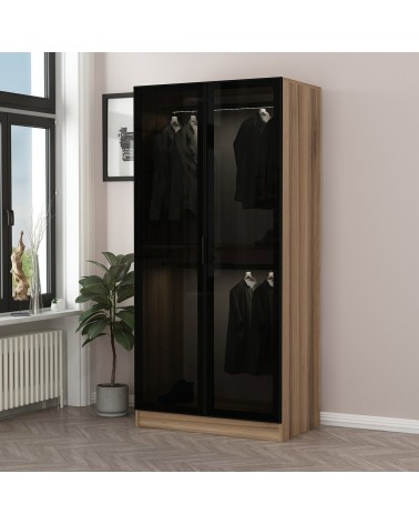 Armoire avec 2 portes verre fumé, noyer doré/noir 90 x 210 cm