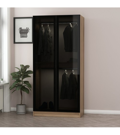 Armoire avec 2 portes verre fumé, noyer doré/noir 90 x 210 cm