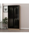 Armoire avec 2 portes verre fumé, noyer doré/noir 90 x 210 cm