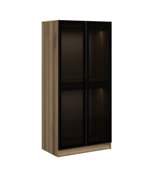 Armoire avec 2 portes verre fumé, noyer doré/noir 90 x 210 cm