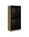 Armoire avec 2 portes verre fumé, noyer doré/noir 90 x 210 cm