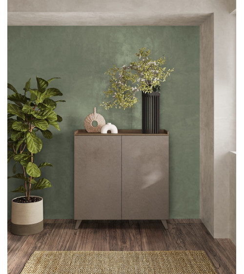 Aparador de 2 puertas PAUL 120 cm Bronce y Mercurio
