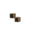 copy of