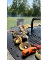 Barbecue FIESTA gris 55 cm
