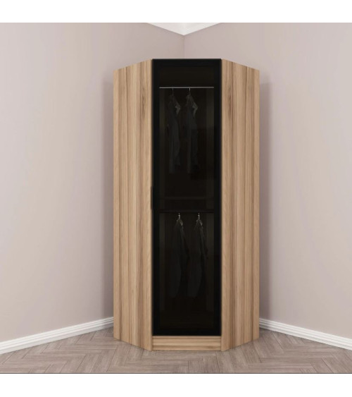 Armoire d'angle avec une porte en verre fumée 74 x 74 x 210 CM, meuble de rangement