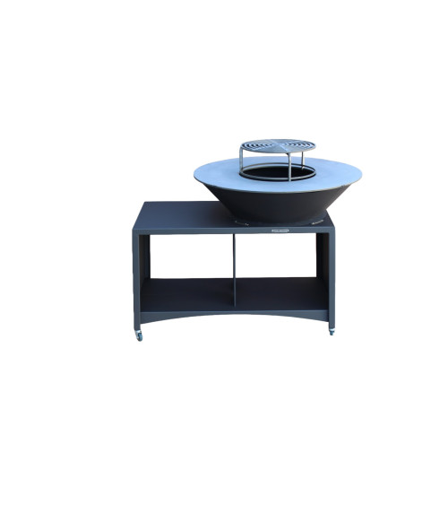 Barbecue FIESTA ISLAND GRIS 75 cm