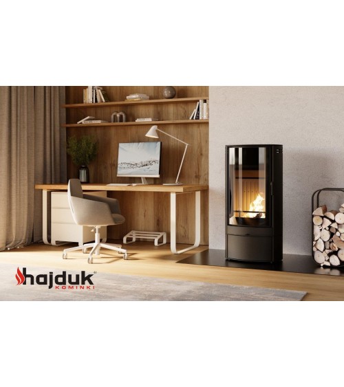 Poêle à bois ARCO III noir