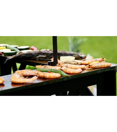 Foyer d'extérieur Cassiopée haut