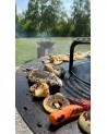 Barbecue FIESTA gris 75 cm
