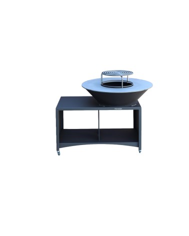 Barbecue FIESTA ISLAND GRIS 75 cm