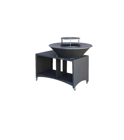 Barbecue FIESTA ISLAND GRIS 75 cm