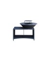 Barbecue FIESTA ISLAND GRIS 75 cm