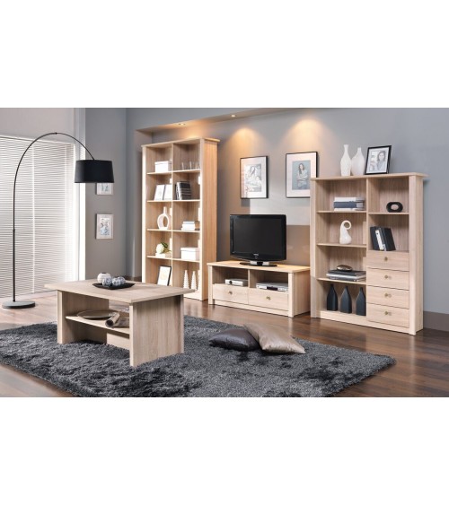 Salon complet  FINAM chêne