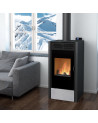 Stufa ibrida a legna e pellet Vision 10 kW