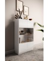 Vitrine 2 portes FANTASY Blanc laqué/chêne Mercure 105 x 170 cm