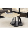 copy of Buffet EVAD 155cm
