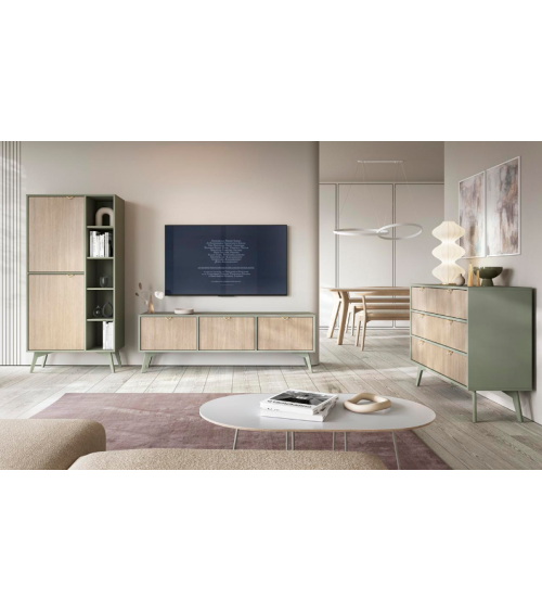 Ensemble meuble TV FOREST couleur Chevrons Scandi / Eucalyptus