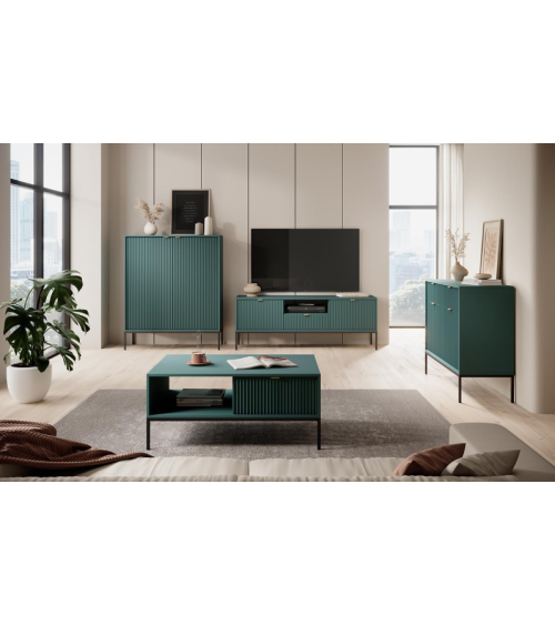 Ensemble meuble TV NOVA couleur Vert