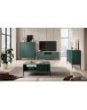 Ensemble meuble TV NOVA couleur Vert