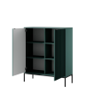 Ensemble meuble TV NOVA couleur Vert