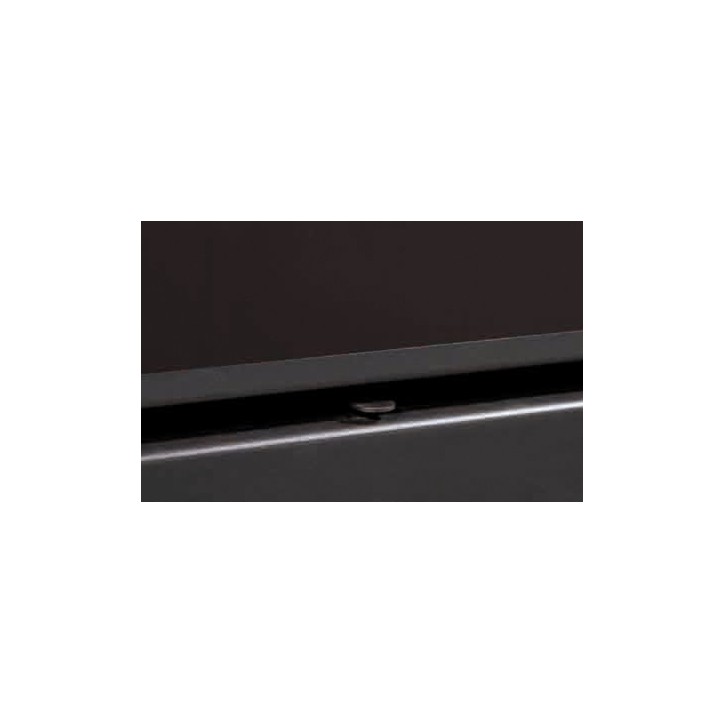 Insert cheminée à bois avec turbine Placetas 14 kW + 2 bouches recuperateur Insert cheminée à bois avec turbine Placetas 14 kW + 2 bouches recuperateur