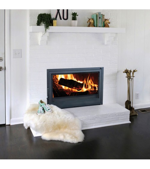 Insert Cheminée FG18