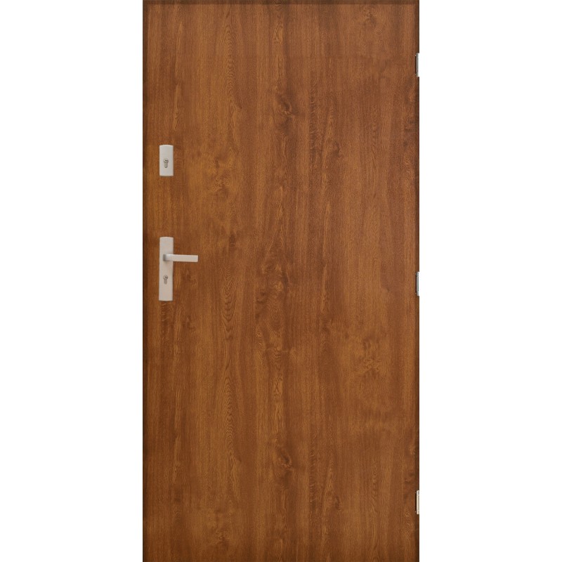 Porte d'entrée MARS 90 cm 72 mm en acier inoxydable en 4 couleurs