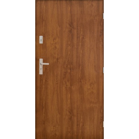 Porte d'entrée MARS 90 cm 72 mm en acier inoxydable en 4 couleurs