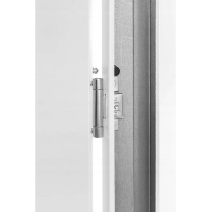 Porte d'entrée 80 cm en acier inoxydable anthracite