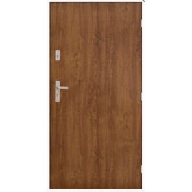 Porte d'entrée MARS 80 cm 72 mm en acier inoxydable en 4 couleurs