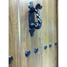 Porte d'entrée MAS rustica verts 80 cm 45 mm en acier inoxydable