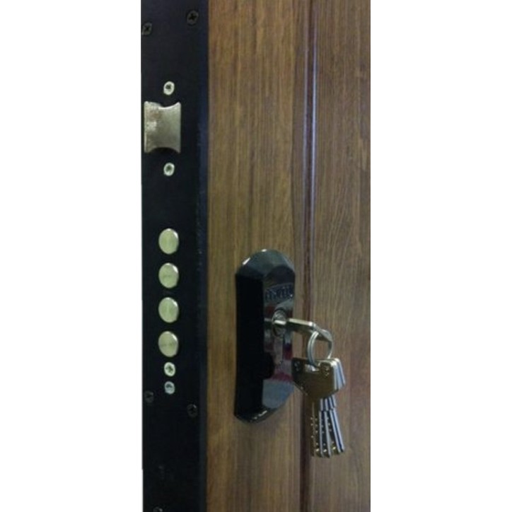 Porte d'entrée MAS rustica 80 cm 45 mm en acier inoxydable