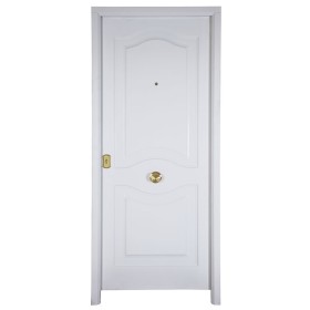 Porte d'entrée CAESAR 80 cm 45 mm en acier