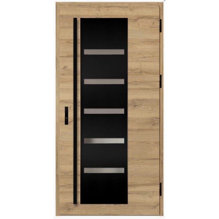 Porte d'entrée en acier avec cadre en aluminium AMBERG 1 90*200 -100*200 cm