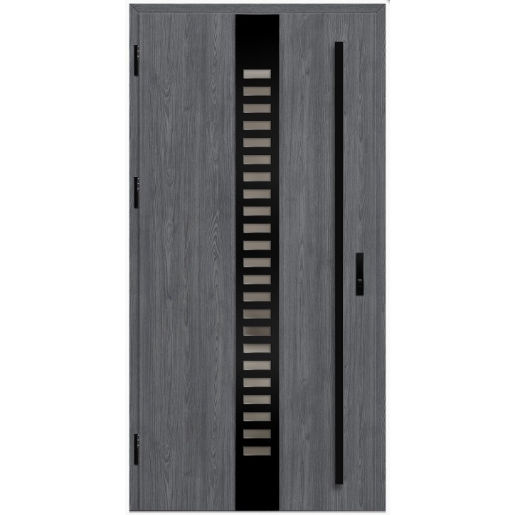 Porte d'entrée en acier avec cadre en aluminium SELTERS 2 90*200 -100*200 cm