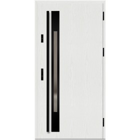 Porte d'entrée en acier avec cadre en aluminium WELS 1 90*200 -100*200 cm