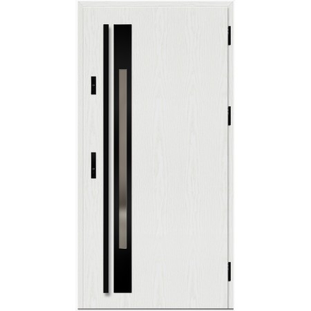 Porte d'entrée en acier avec cadre en aluminium WELS 1 90*200 -100*200 cm