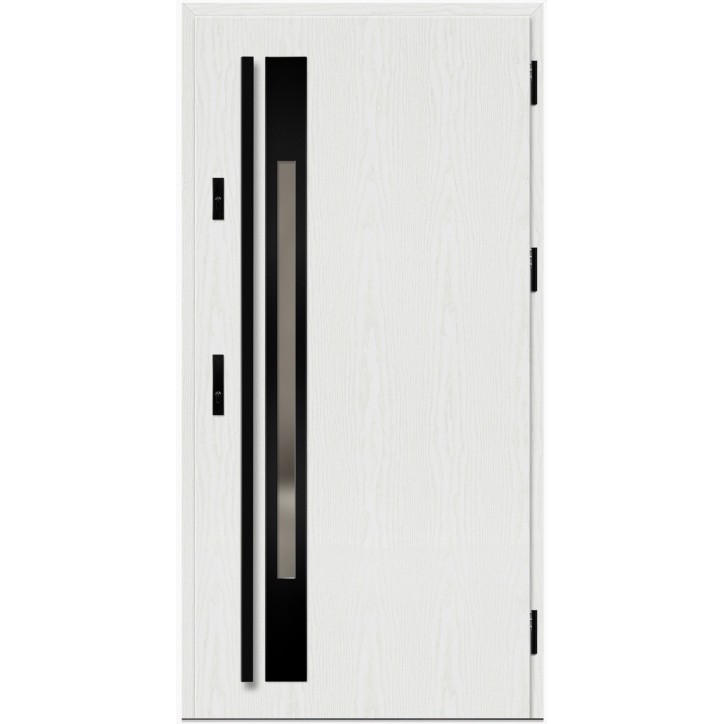 Porte d'entrée en acier avec cadre en aluminium WELS 1 90*200 -100*200 cm