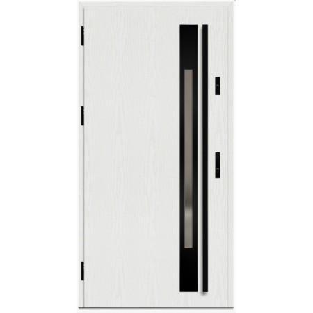 Porte d'entrée en acier avec cadre en aluminium WELS 1 90*200 -100*200 cm