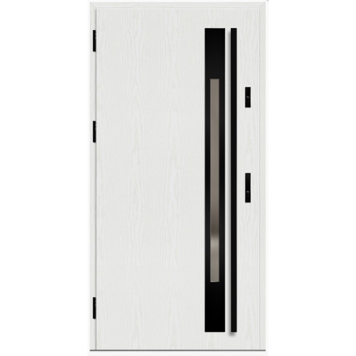 Porte d'entrée en acier avec cadre en aluminium WELS 1 90*200 -100*200 cm