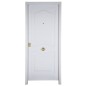 Porte d'entrée CAESAR 80 cm 45 mm en acier