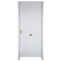 Porte d'entrée CAESAR 80 cm 45 mm en acier