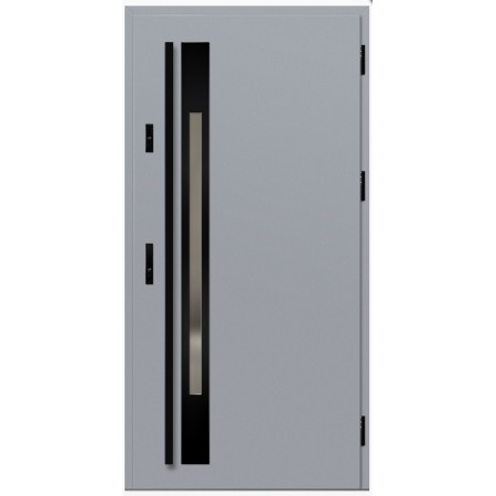 Porte d'entrée en acier avec cadre en aluminium WELS 1 gris 90*200 -100*200 cm