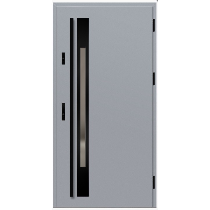 Porte d'entrée en acier avec cadre en aluminium WELS 1 gris 90*200 -100*200 cm