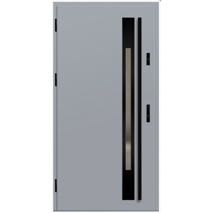 Porte d'entrée en acier avec cadre en aluminium WELS 1 gris 90*200 -100*200 cm
